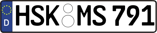 HSK-MS791