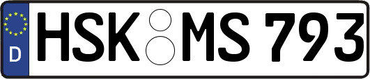 HSK-MS793