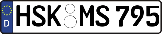 HSK-MS795
