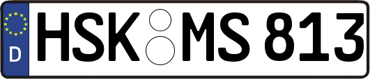 HSK-MS813