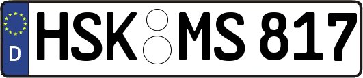 HSK-MS817