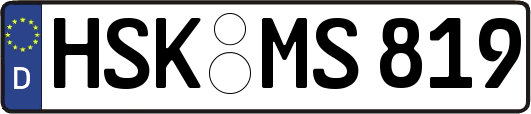 HSK-MS819