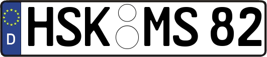HSK-MS82