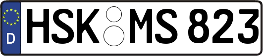 HSK-MS823