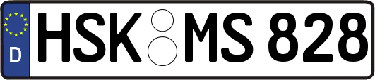 HSK-MS828