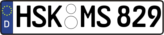 HSK-MS829
