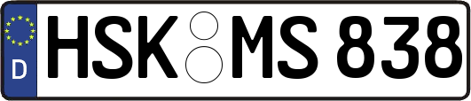 HSK-MS838