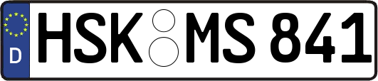 HSK-MS841