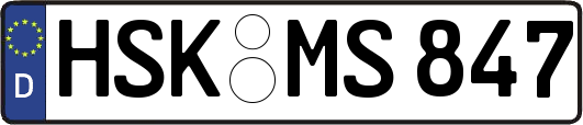 HSK-MS847