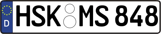 HSK-MS848