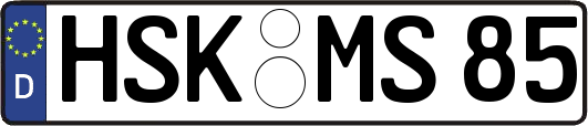 HSK-MS85