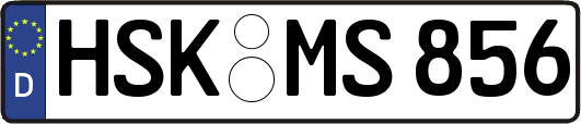 HSK-MS856