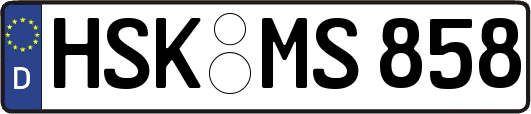 HSK-MS858