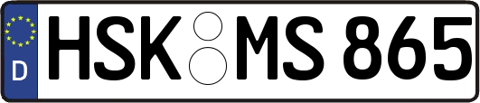 HSK-MS865