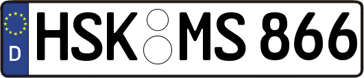 HSK-MS866