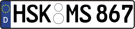 HSK-MS867