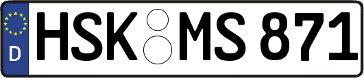 HSK-MS871