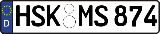 HSK-MS874