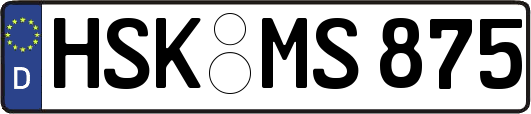 HSK-MS875