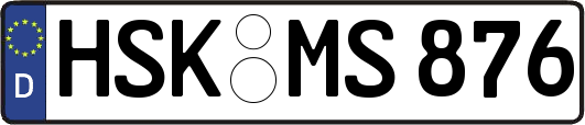 HSK-MS876