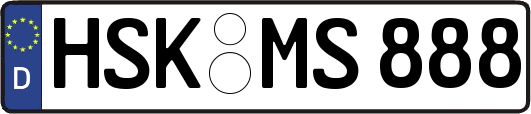 HSK-MS888