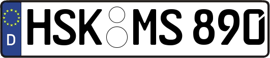 HSK-MS890