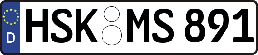 HSK-MS891