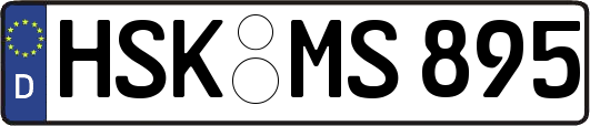 HSK-MS895