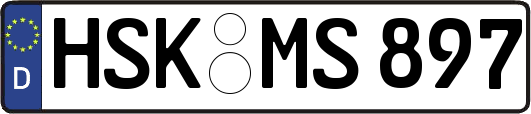 HSK-MS897