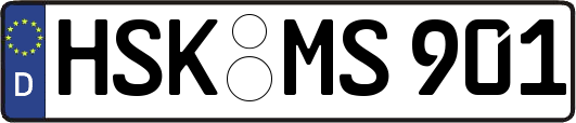 HSK-MS901