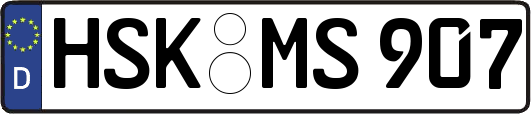 HSK-MS907