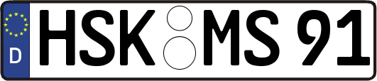 HSK-MS91