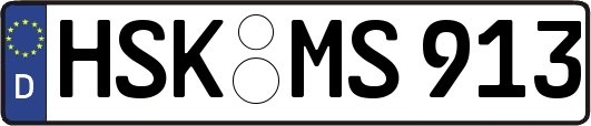 HSK-MS913