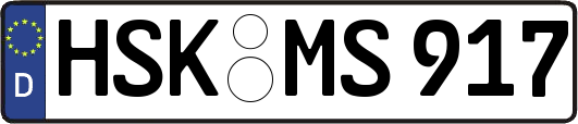 HSK-MS917