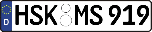 HSK-MS919