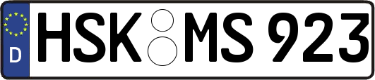 HSK-MS923