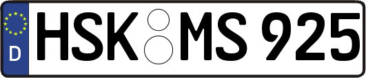 HSK-MS925