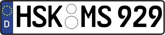 HSK-MS929