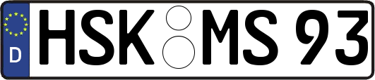 HSK-MS93