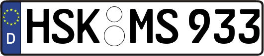 HSK-MS933
