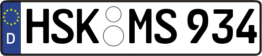 HSK-MS934