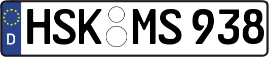 HSK-MS938