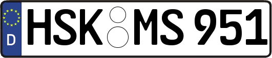 HSK-MS951