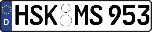 HSK-MS953