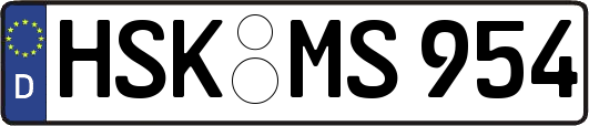 HSK-MS954