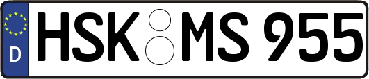HSK-MS955