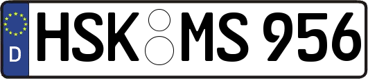HSK-MS956