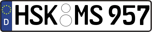 HSK-MS957