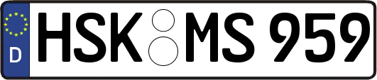 HSK-MS959