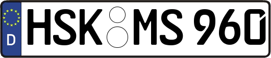 HSK-MS960